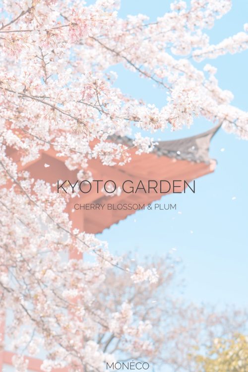 Colecția BON VOYAGE – Kyoto Garden / Flori de cireș și prun